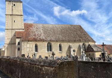 Percorso Marcia Arcisses - Rando Brunelles - Photo