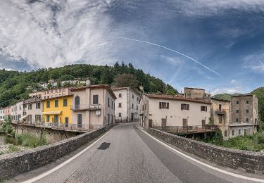 Tocht Te voet Pistoia - (SI L13) Pracchia - Lago Scaffaiolo - Photo