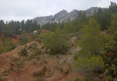 Trail Walking Saint-Antonin-sur-Bayon - Opidium Untinos 16.2.24 - Photo