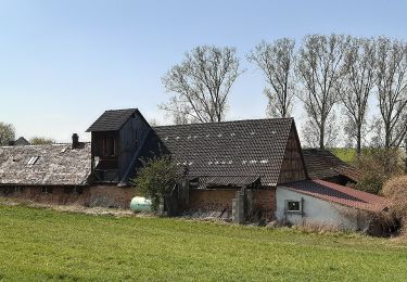 Trail On foot Otzberg - Rundwanderweg Habitzheim 1 : Taubensemd-Weg - Photo