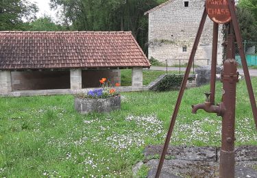 Excursión Senderismo Montignac-Charente - La rando de Puyssanganou entre Montignac et saint Amand de Boixe - Photo