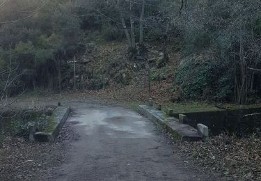 Tour Wandern Taurinya - les llacereras au départ taurynia - Photo