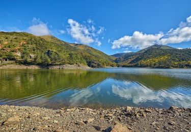 Percorso A piedi Bosio - Cascina Foi - Lago Bruno - Photo