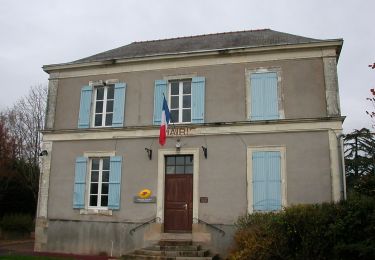 Randonnée A pied Ingrandes-le-Fresne-sur-Loire - Vallée de la Loire Rive droite par Champtocé - Photo