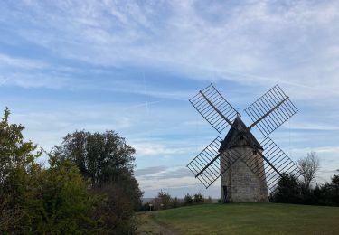 Tocht Stappen Cieurac - Cieurac Pauliac  - Photo