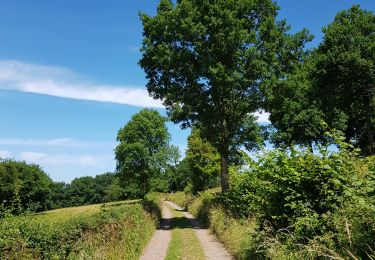 Tocht Stappen Sprimont - Banneux - Rouge Thier - Adzeux - Photo