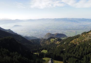 Randonnée A pied Stadt Hohenems - Schwarzenbergrundweg - Photo