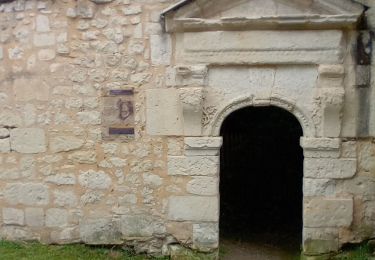 Tour Wandern Fontevraud-l'Abbaye - Fontevraud - Photo