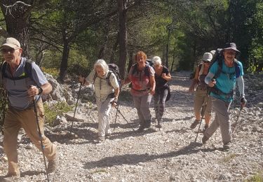 Percorso Marcia Tolone - le mont faron - Photo