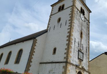 Tour Wandern Florenville - Chassepierre 120723 - Photo