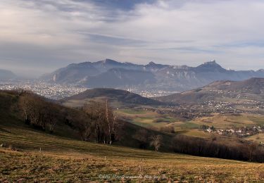 Trail Walking Brié-et-Angonnes - Brié - Montchabout - Sommet de Pravena - Photo