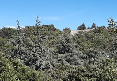 Randonnée Marche Vitrolles-en-Luberon - 360° au dessus de Vitrolles en Luberon - Photo