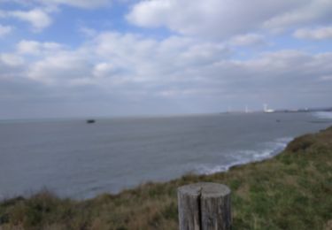 Excursión Senderismo Le Portel - le Portel Equihen retour par le sentier des douaniers  - Photo