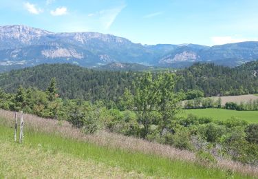 Trail Walking Recoubeau-Jansac - recoubeau jansac - Photo