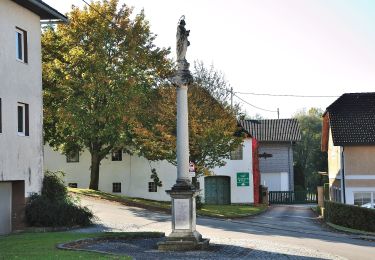 Tour Zu Fuß Piberbach - Wanderweg Winden - Photo