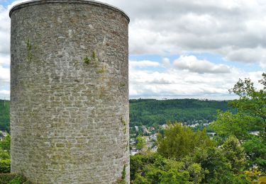 Tour Zu Fuß Nagold - Spechttal - Mindersbach - Heiligkreuz - Photo