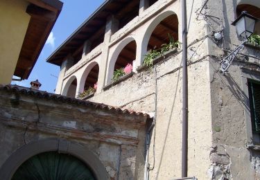 Tocht Te voet Angolo Terme - Gorzone - Monte Altissimo - Photo