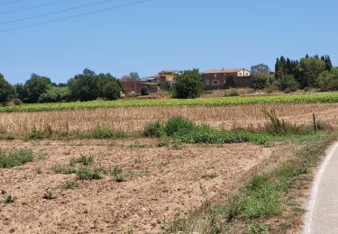 Randonnée Marche Gualta - Gualta 100725 - Photo