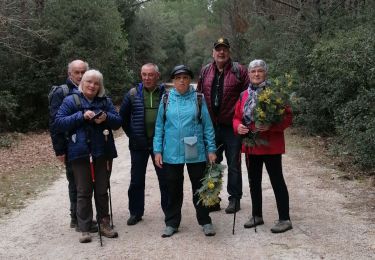 Randonnée Marche Saint-Trojan-les-Bains - i'e olzro - Photo