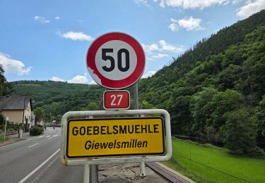 Tour Wandern Burscheid - De Michelau à Goebelsmühle - de gare en gare 🚂 - CFL 9 - Photo