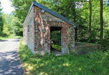 Randonnée Marche Vendôme - Randonnée dans le Bois de l'Oratoire à Vendôme  - Photo