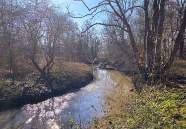 Trail Walking Geer - Le Geer entre Lens-St-Remy et Hollogne - Photo