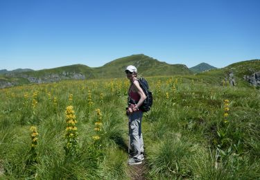 Tour Wandern Mandailles-Saint-Julien - Mandailles Chavaroche - Photo