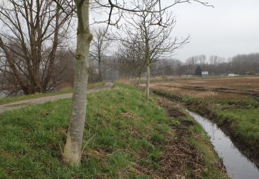 Tour Zu Fuß Waasmunster - Sombeke-Oude Durmeroute lus 2 - Photo