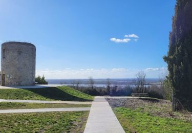 Randonnée Marche Saint-André-de-Cubzac - Parc Robillard • Moulin de Montalon - Photo