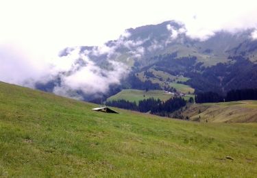 Tour Zu Fuß Escholzmatt-Marbach - Nesslenboden - Unt. Schübelsmoos - Hürnli - Photo