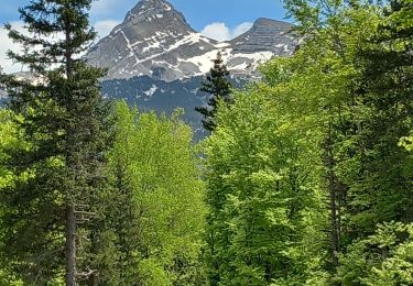 Tour Wandern Corrençon-en-Vercors - balladecavec les copines - Photo