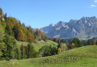 Tour Zu Fuß Nesslau - Lutertannen-Windenpass - Photo