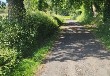 Tour Wandern Saint-Lô - Ballade 2 juin 2020 - Photo