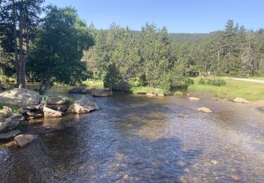 Tour Wandern La Llagonne - Pla de Barres - Lac des Bouillouses - étangs du Carlit - Photo