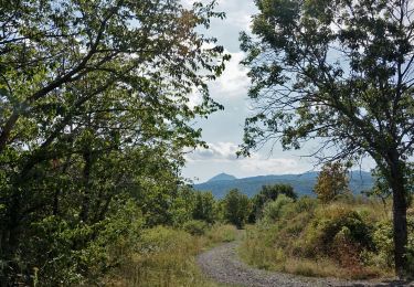 Tocht Stappen Blanzat - Blanzat_Plateau_Bade - Photo