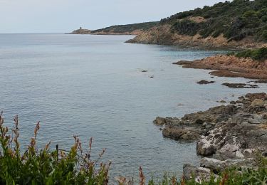 Percorso Marcia Cargèse - La Tour Omigna depuis Cargèse - Photo