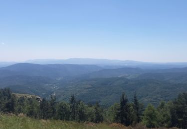 Tocht Stappen Pont de Montvert - Sud Mont Lozère - Montagne du Bougès - Photo