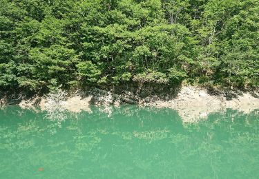 Percorso A piedi Bagno di Romagna - Sul lago di Ridracoli - Photo