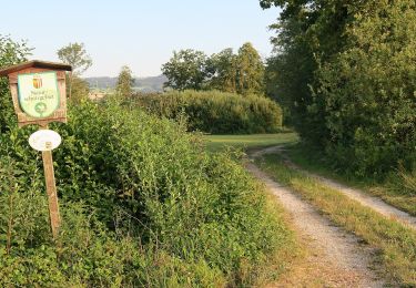 Randonnée A pied Wartberg an der Krems - RW Strinzing - Photo