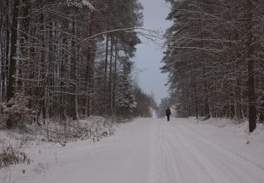 Percorso A piedi Niekłań Wielki - Przyrodnicza Ścieżka Dydaktyczna Klubu 4H w Niekłaniu Wielkim - Photo