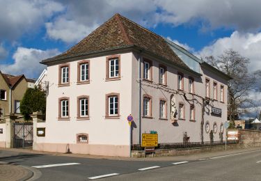 Tocht Te voet Burrweiler - Pfälzerwald Blauer Balken (Burrweiler) - Photo