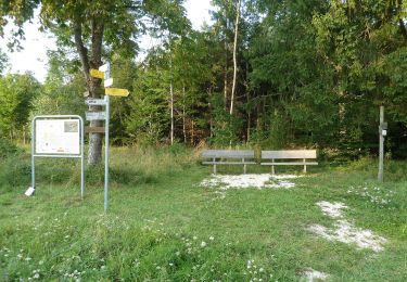 Tour Zu Fuß Gomadingen - Rundwanderweg Oberkochen Nr. 5 - Photo