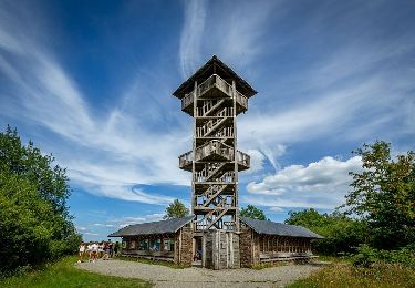 Tour Zu Fuß Spa - SPA 15 - Die Holzsteg von Malchamps 🟥 - Photo