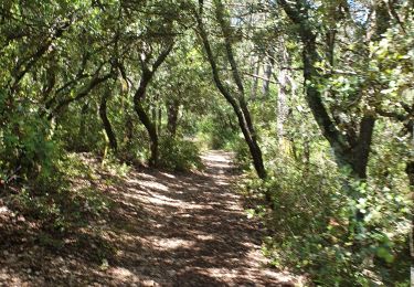 Trail Walking Gréasque - greasque. marie.f.gilbert - Photo