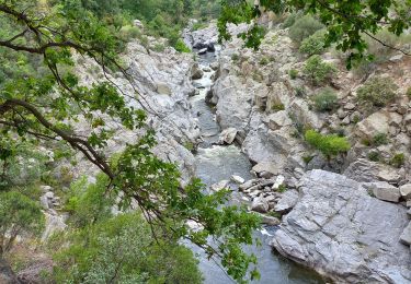 Randonnée Marche Rodès - Gorges de la Guillera - Photo