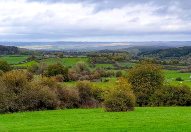 Trail Walking Beauraing - Balade à Honnay - Beauraing - Photo