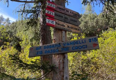 Trail Walking Cortina d'Ampezzo - Lac de Sorapis - Photo