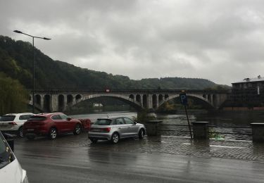 Excursión Senderismo Huy - HUY DE PONT À PONT - Photo
