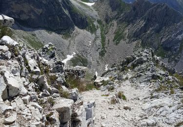 Randonnée Marche Pralognan-la-Vanoise - Pralognan - Col et pointe de leschaux - 17/07/19 - Photo