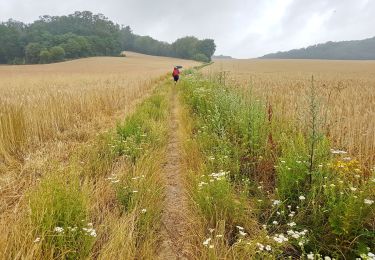 Percorso Marcia Wavre - 2019-07-13 BVR  Wavre Reconnaissance - Photo